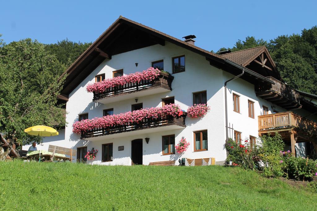 Villa Bauernhof Familie Knoblechner Nussdorf am Attersee Habitación foto